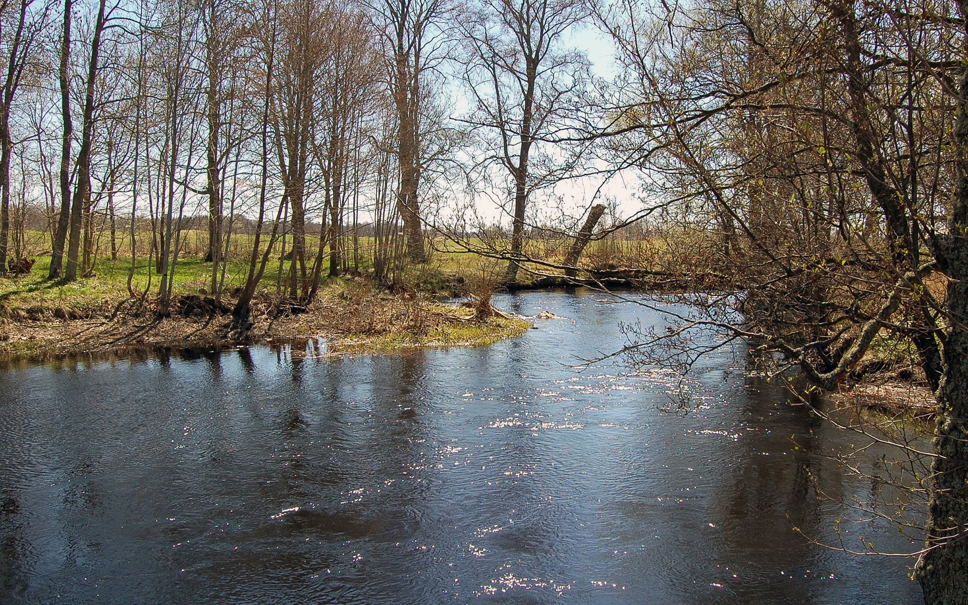 Ljungbyån. Foto: Bernt Fransson (Creative Commons).
